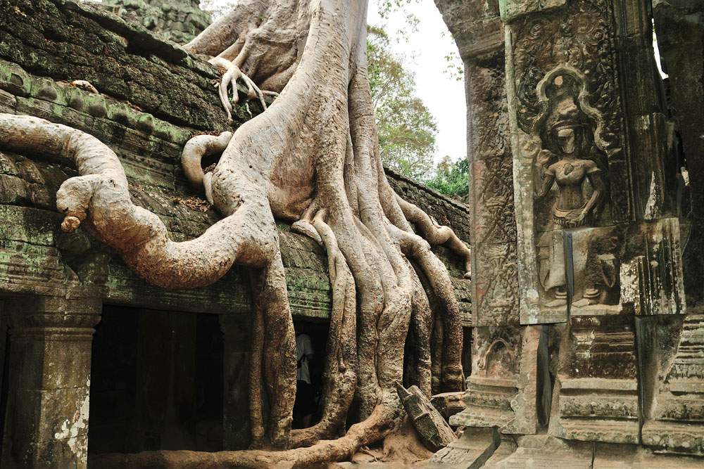 טה פרום (Ta Prohm)